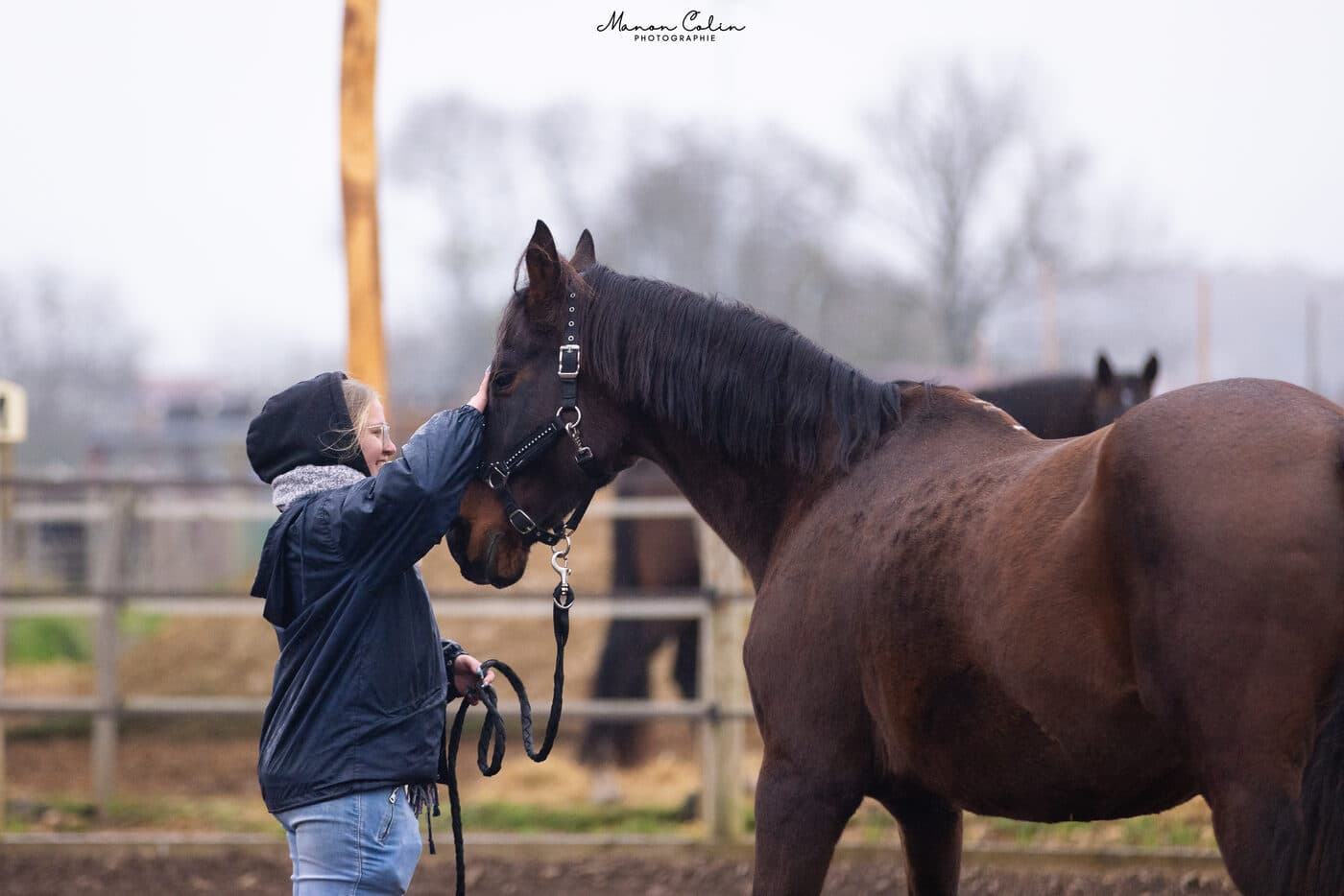 Cellia caresse tendrement le front d'un cheval bai - douceur et amour, CelliaCare