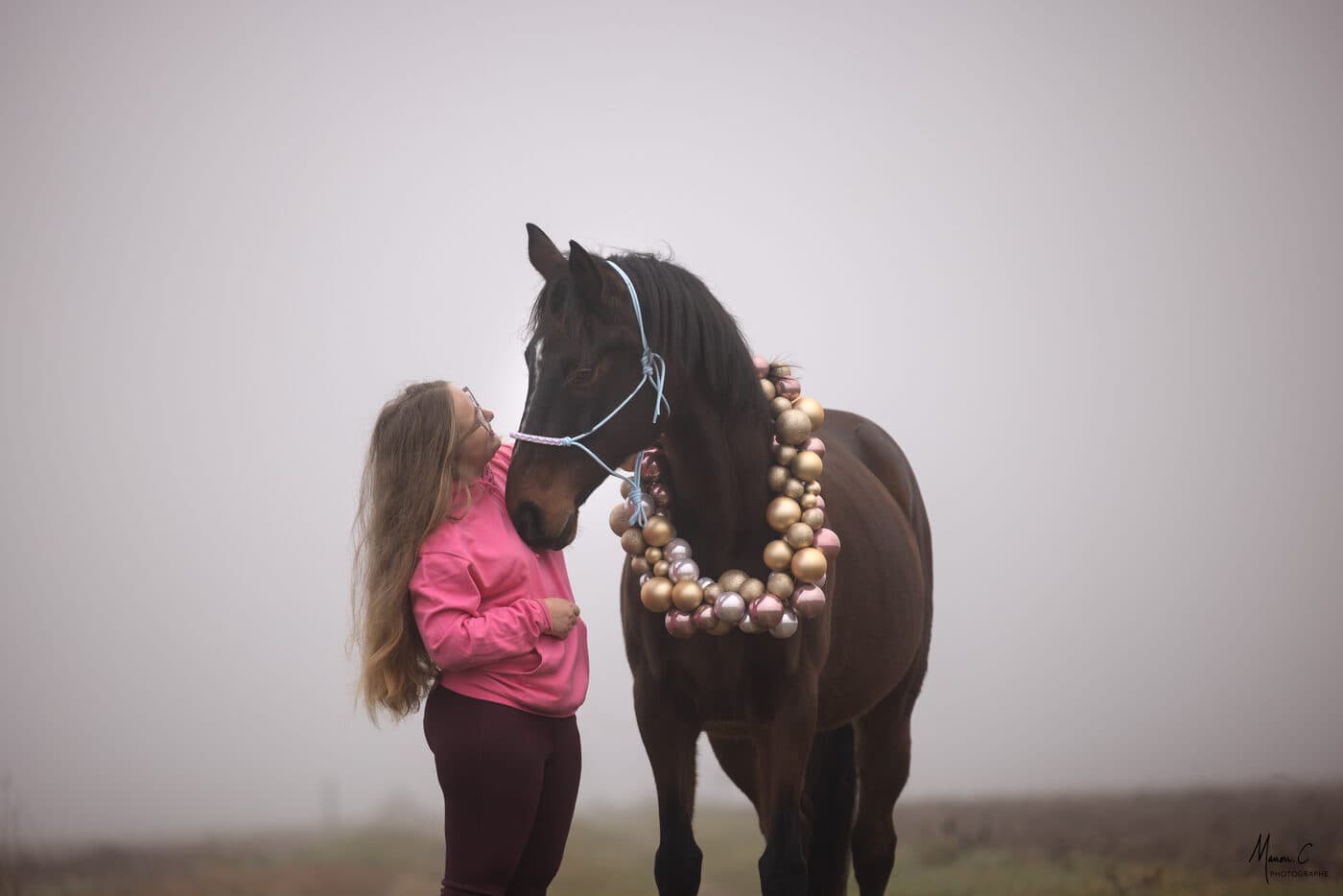 Cellia et un cheval noir dans la brume - garde d'animaux à domicile CelliaCare, Ceintrey (54)
